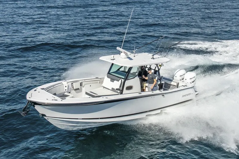 The Image of Blackfin 332 - 0