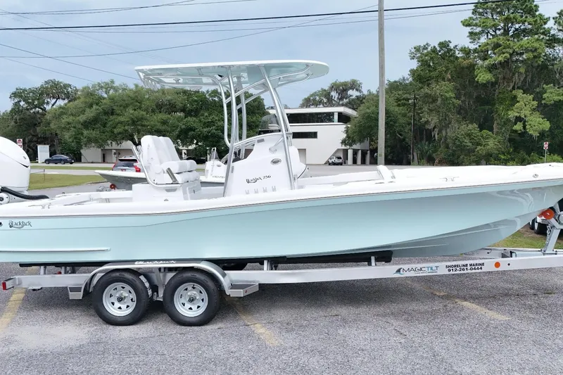 The Image of 2027 BlackJack 256 Coastal boat on trailer, parked outdoors, side view. - 0