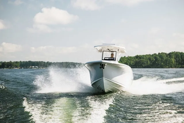 Slide: The Image of Sea Pro 262 Offshore 2027 - 4