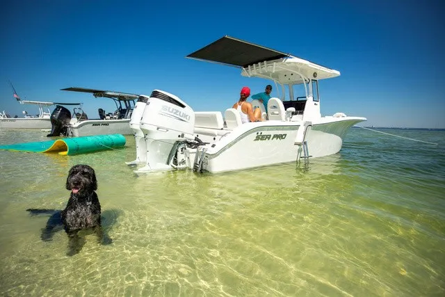 Slide: The Image of Sea Pro 265FLX Sandbar 2027 - 10