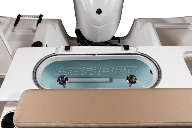 Slide: The Image of Sea Pro 240 Dual Console 2027 - 9