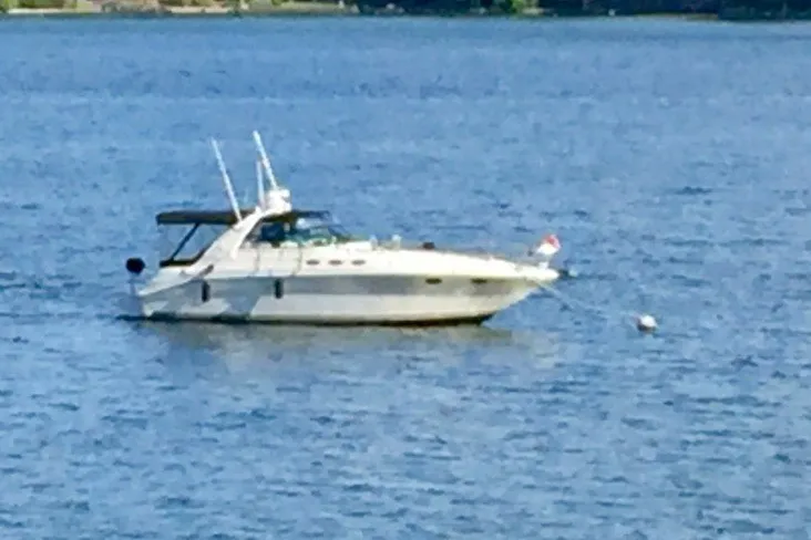 The Image of 1996 Sea Ray 370 Express Cruiser anchored on a calm blue lake. - 0