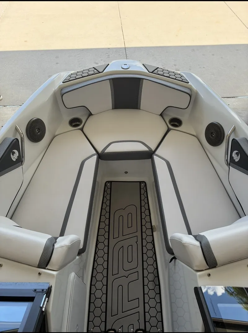 Slide: The Image of Scarab 195 ID 2020 - 8