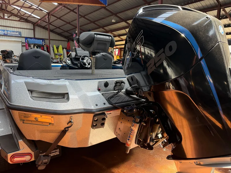 Slide: The Image of Vexus VX20 2021 - 21