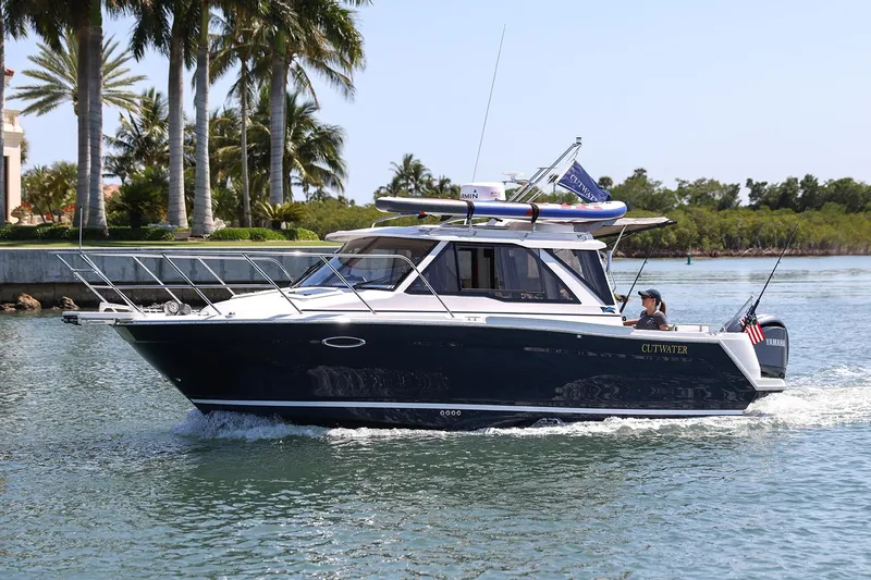The Image of Manufacturer Provided Image: 2025 Cutwater C-248 Coupe cruising on a sunny day with palm trees in the background. - 0