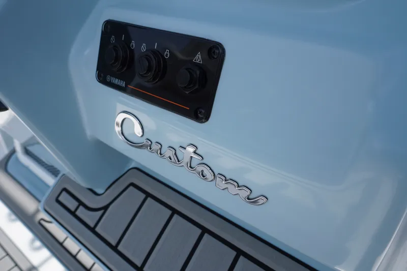 Slide: The Image of Control panel on 2027 Tidewater 256 LXF boat with "Custom" label. - 35