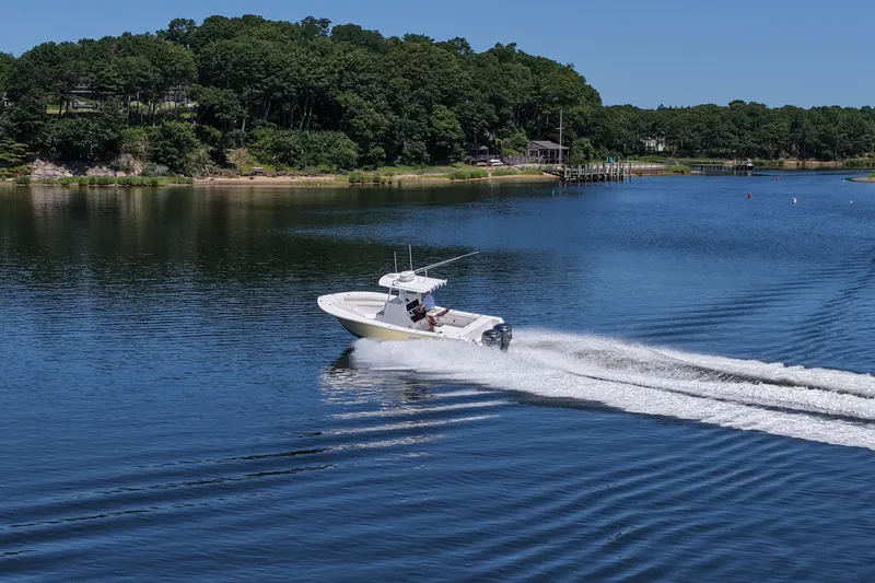 Slide: The Image of 2007 Regulator 29 Forward Seating boat cruising on a serene lake with lush green shoreline. - 29