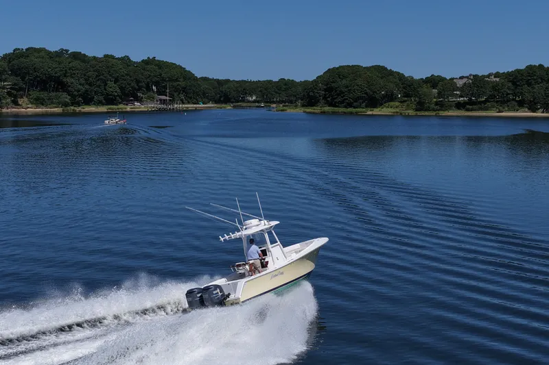 Slide: The Image of 2007 Regulator 29 Forward Seating boat cruising on a serene lake with lush green surroundings. - 28