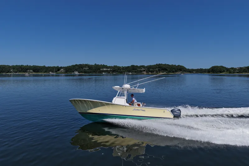 Slide: The Image of 2007 Regulator 29 Forward Seating boat cruising on a calm lake under clear blue skies. - 26
