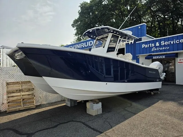 The Image of World Cat 265 CC-X 2027 - 1