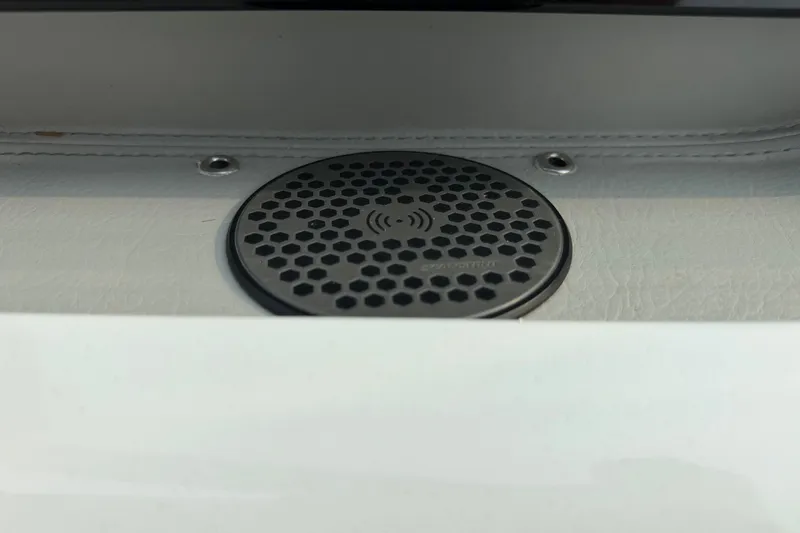 Slide: The Image of 2024 Regal LS9 boat speaker with hexagonal grille design on white surface. - 25