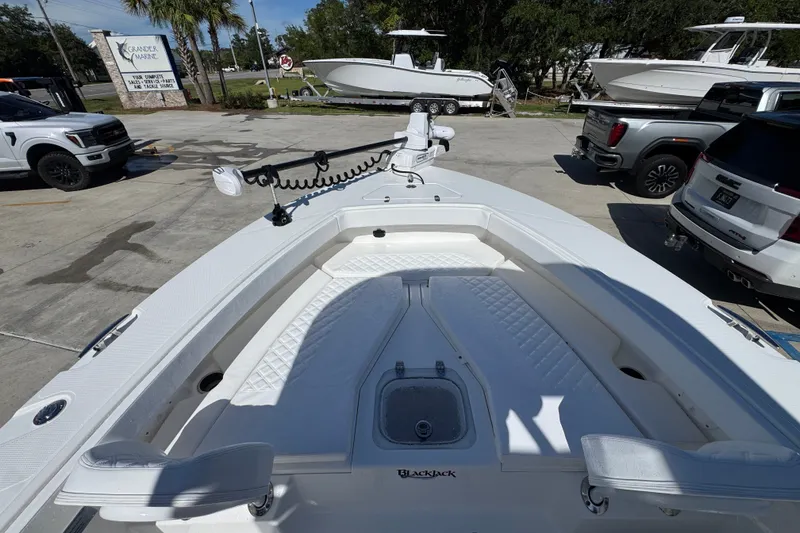 Slide: The Image of 2025 BlackJack 256 Coastal boat displayed at a marina with surrounding vehicles. - 16