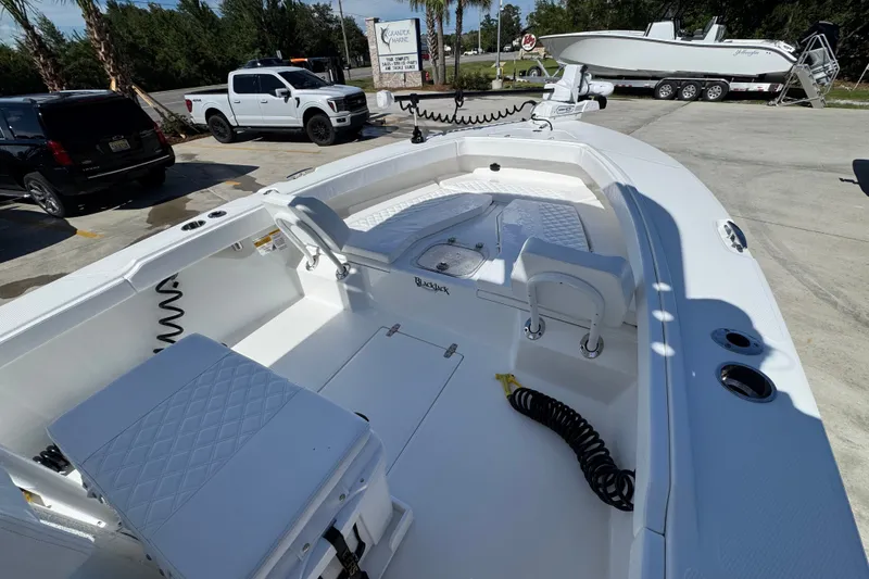 Slide: The Image of 2025 BlackJack 256 Coastal boat interior, featuring spacious seating and modern design. - 15