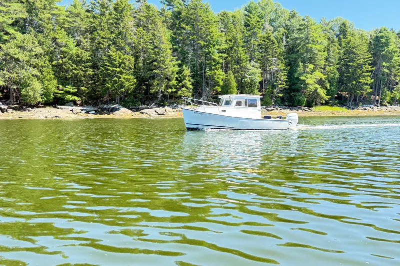 The Image of 2020 Seaway 24 boat cruising on a serene lake with lush forest backdrop. - 0