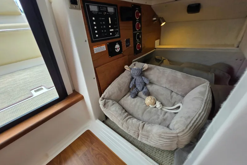 Slide: The Image of Cozy interior of 2027 Cutwater C-248 Coupe with plush toy and pet bed. - 27