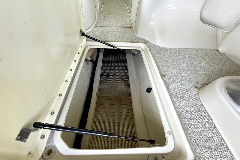 Slide: The Image of Storage compartment in 2003 Sea Ray 240 Sundeck boat, featuring carpeted interior and hydraulic supports. - 29