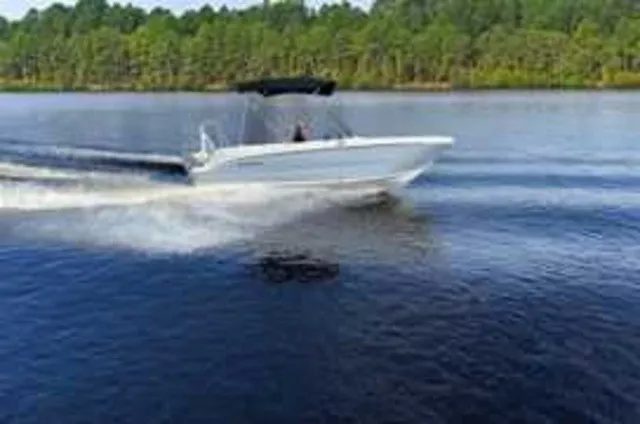 The Image of Stingray 172 DC 2026 - 1