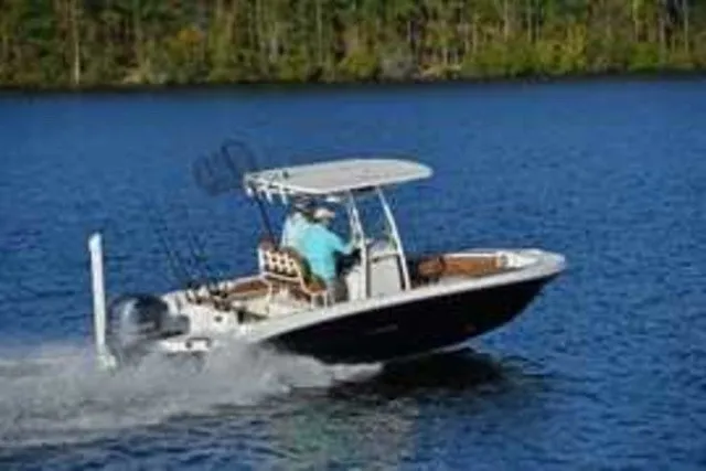 The Image of Stingray 236 CC 2026 - 1
