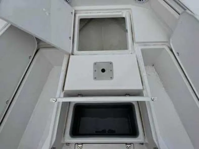 Slide: The Image of Stingray 236 CC 2026 - 8