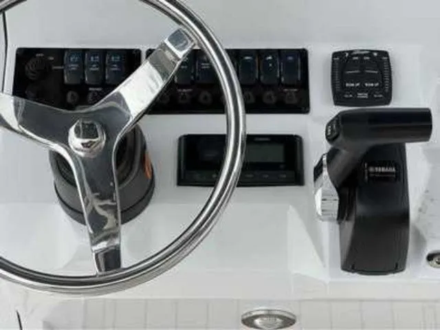 Slide: The Image of Stingray 236 CC 2026 - 10