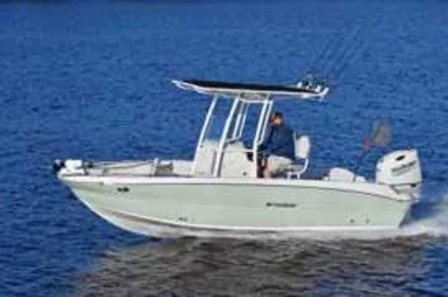 The Image of Stingray 216 CC 2026 - 1