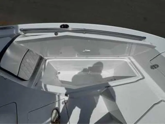 Slide: The Image of Stingray 216 CC 2026 - 5