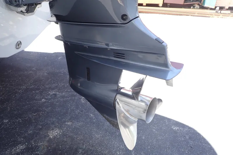Slide: The Image of 2019 Sailfish 245 DC boat motor with stainless steel propeller on display. - 109