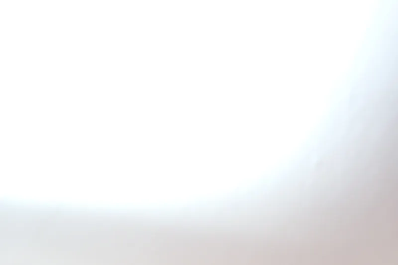 Slide: The Image of Blurry image with bright white and light gray tones, metadata indicates Sailfish 245 DC, 2019. - 13