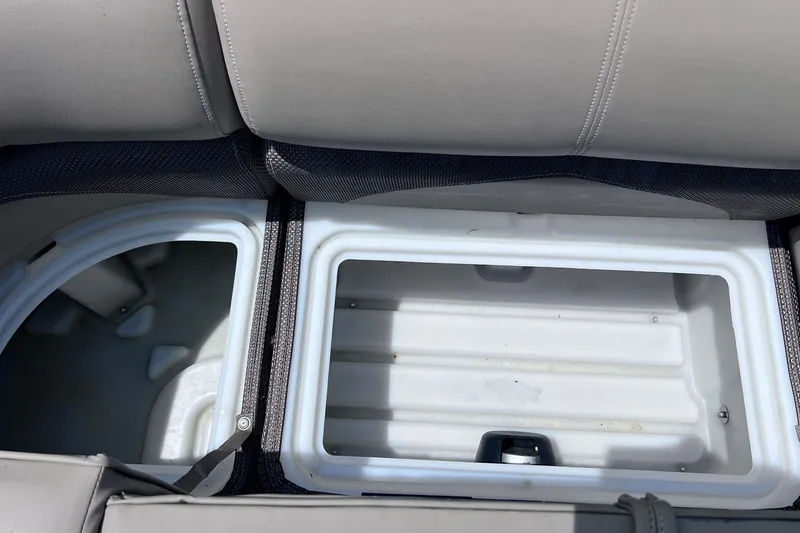 Slide: The Image of Storage compartment in a 2020 Regency 250 DL3 boat, featuring spacious interior design. - 26