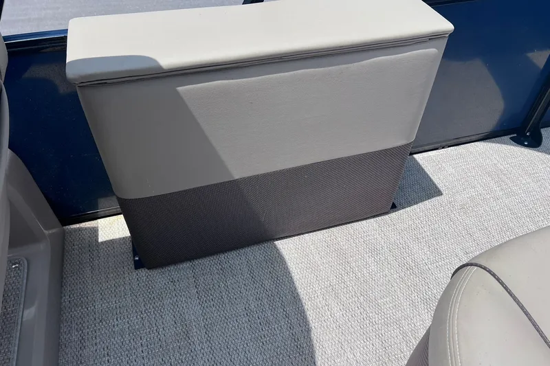 Slide: The Image of 2020 Regency 250 DL3 boat interior with cushioned seating and carpeted flooring. - 14