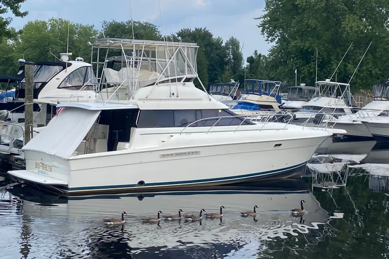 The Image of 1995 Silverton 41 Convertible yacht docked with geese swimming nearby. - 0