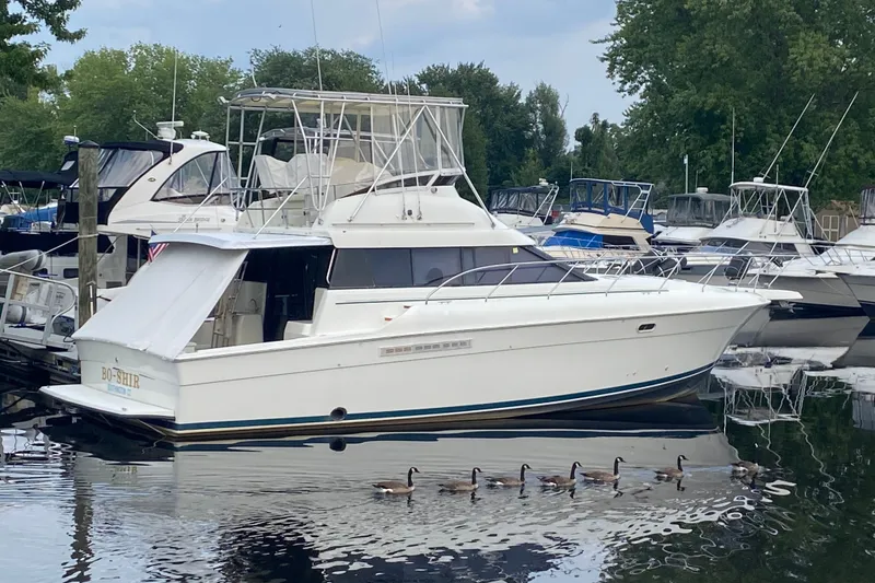 Slide: The Image of 1995 Silverton 41 Convertible yacht docked in a marina with geese swimming nearby. - 3