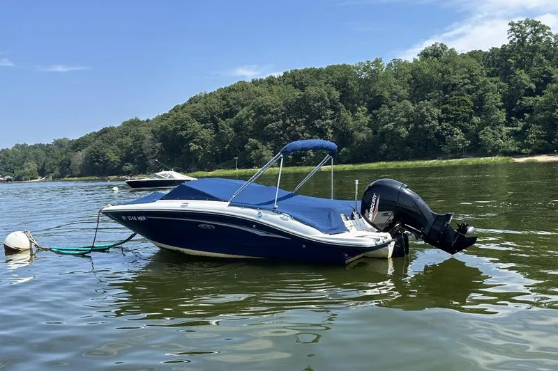 Slide: The Image of 2020 Sea Ray SPX 190 Outboard boat anchored on a calm lake with lush green trees. - 18