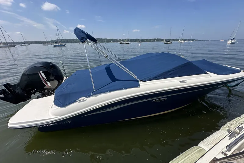 The Image of 2020 Sea Ray SPX 190 Outboard boat with blue cover on calm water. - 1