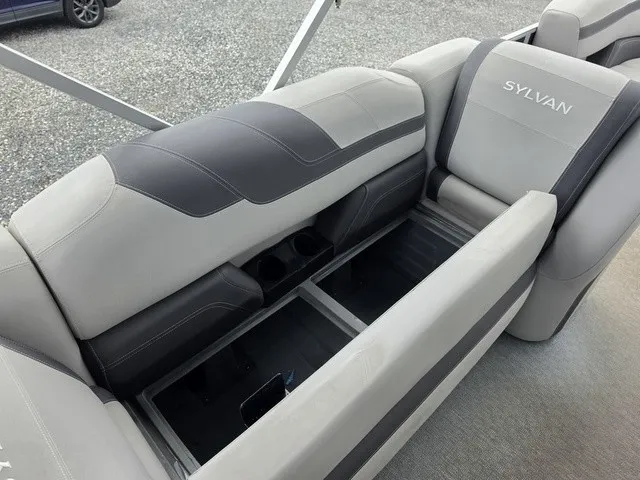 Slide: The Image of Sylvan L-3 Party Fish 2022 - 14