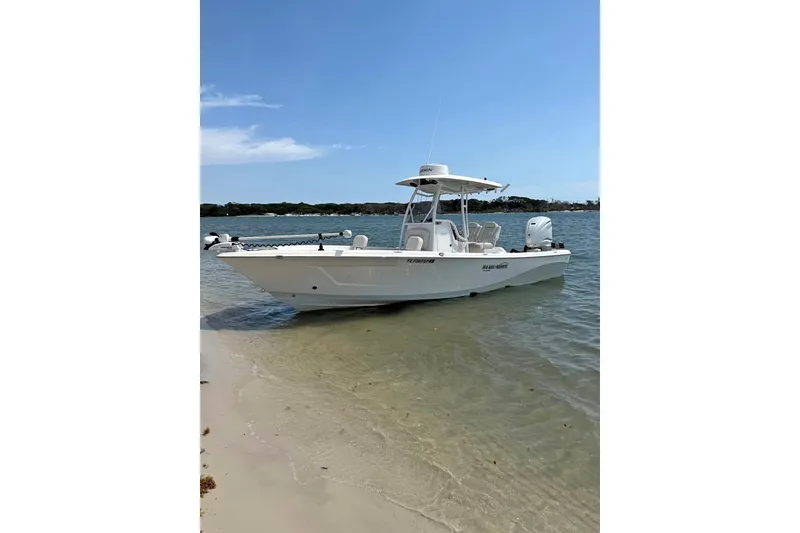 The Image of 2019 Blue Wave 2800 Pure Hybrid boat anchored on a sandy shore under clear blue skies. - 0