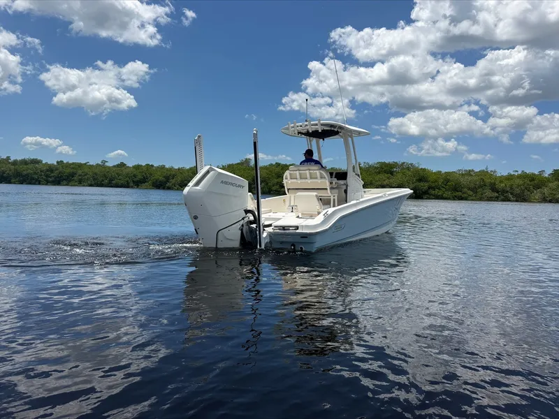 Slide: The Image of Boston Whaler 250 Dauntless 2024 - 5