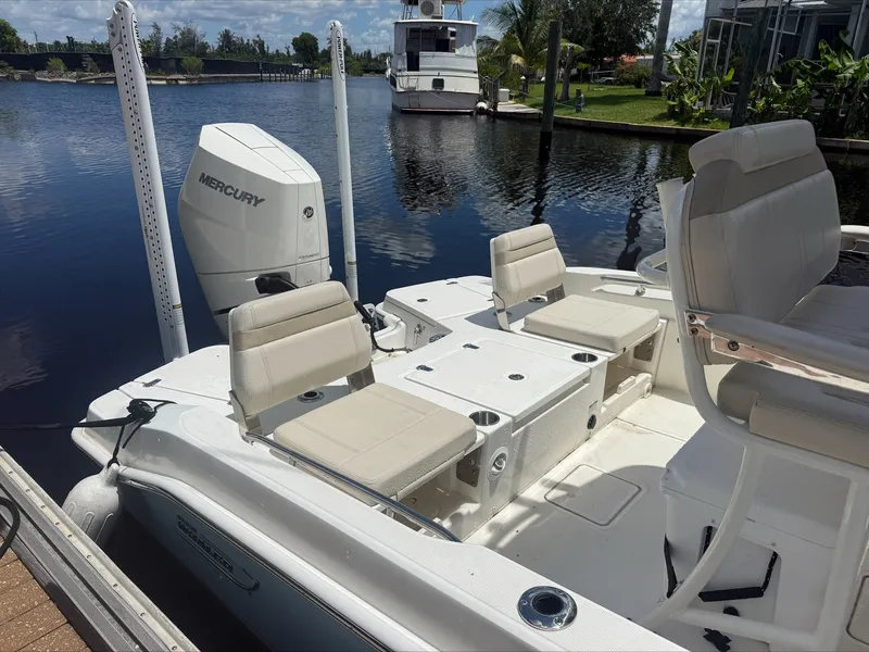 Slide: The Image of Boston Whaler 250 Dauntless 2024 - 9