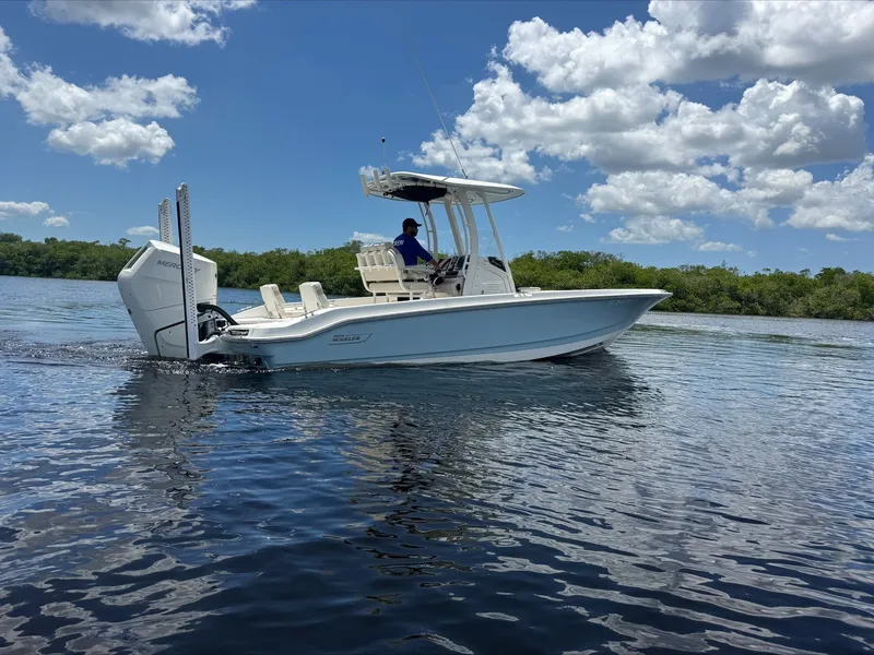 Slide: The Image of Boston Whaler 250 Dauntless 2024 - 3