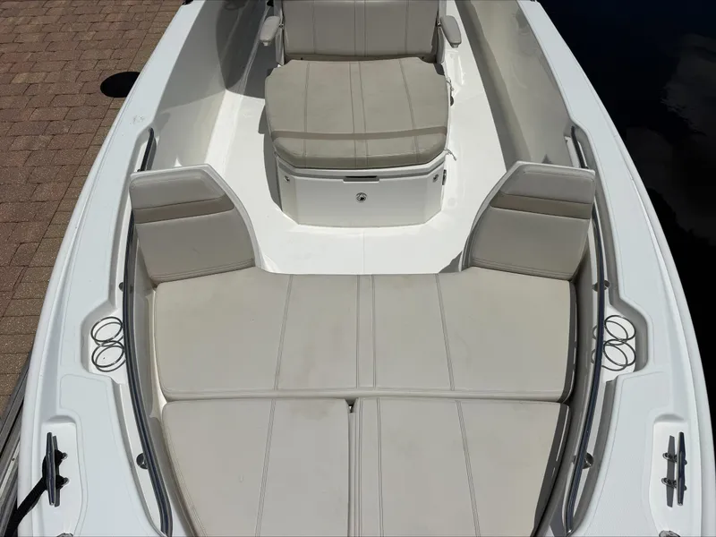 Slide: The Image of Boston Whaler 250 Dauntless 2024 - 15