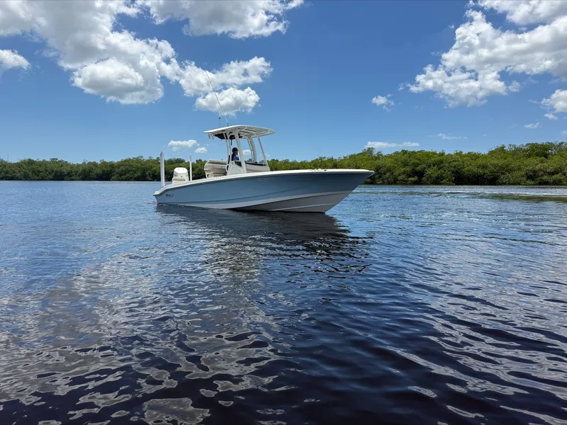 Slide: The Image of Boston Whaler 250 Dauntless 2024 - 4