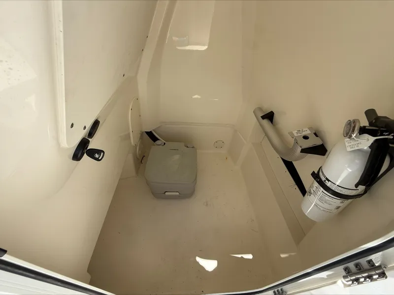 Slide: The Image of Boston Whaler 250 Dauntless 2024 - 13