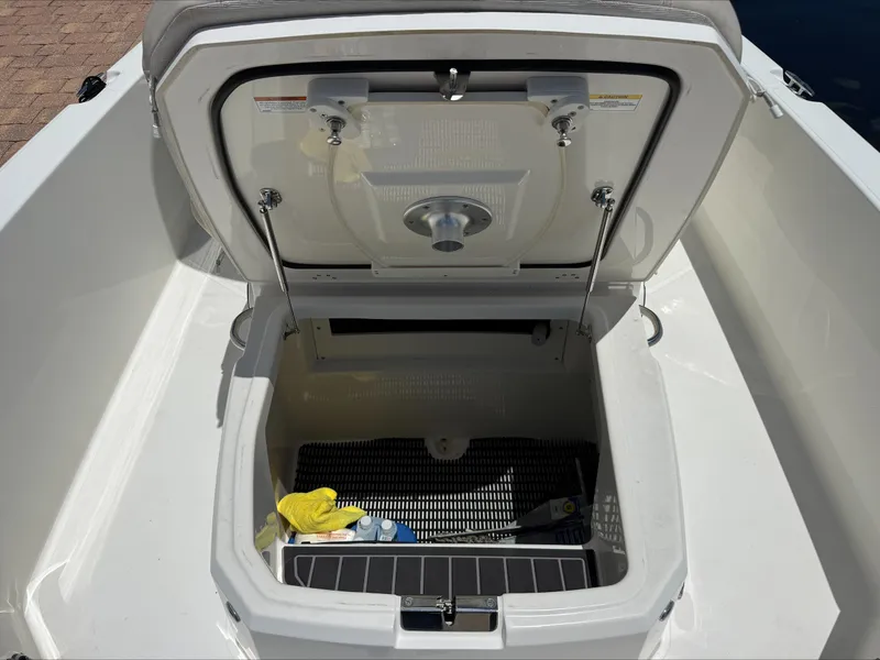 Slide: The Image of Boston Whaler 250 Dauntless 2024 - 12