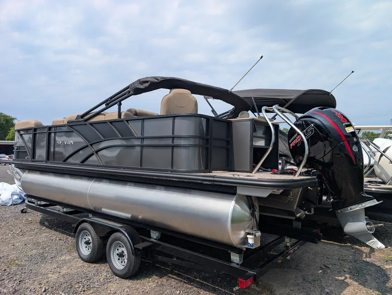 Slide: The Image of Sylvan Mirage Fish 8522 Party Fish 2027 - 3