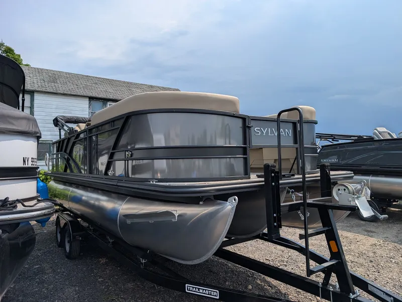 Slide: The Image of Sylvan Mirage Fish 8522 Party Fish 2027 - 2
