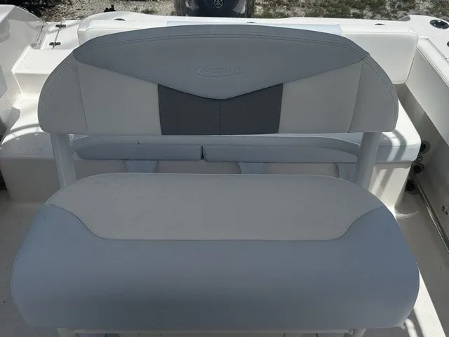 Slide: The Image of Robalo R202 Explorer 2027 - 15