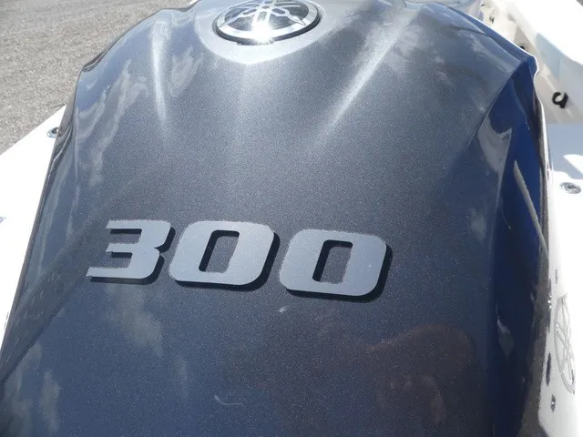 Slide: The Image of Robalo 246 Cayman SD 2022 - 9