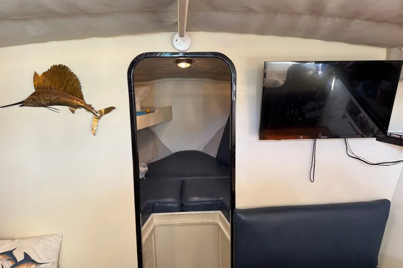 Slide: The Image of Interior of 1998 Dorado 36 Express boat with TV, fish decor, and cozy seating area. - 41