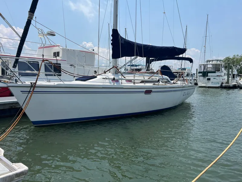 The Image of Catalina 320 - 0