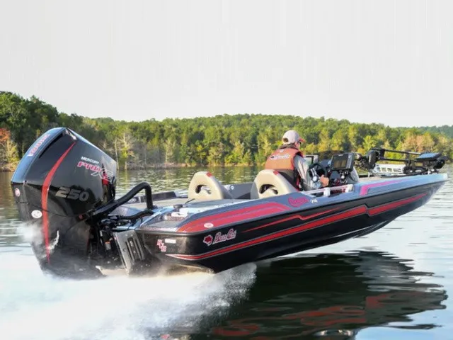 The Image of Bass Cat Cougar FTD 2021 - 1